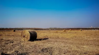 Casholot Casino Aip Soghluaiste